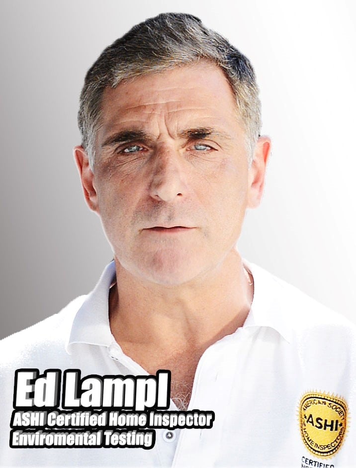 Edward Lampl profile picture